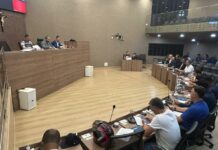 Raio-X do Legislativo: Saúde e inclusão lideram projetos; ruas e homenagens somam 37% das propostas